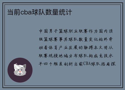 当前cba球队数量统计